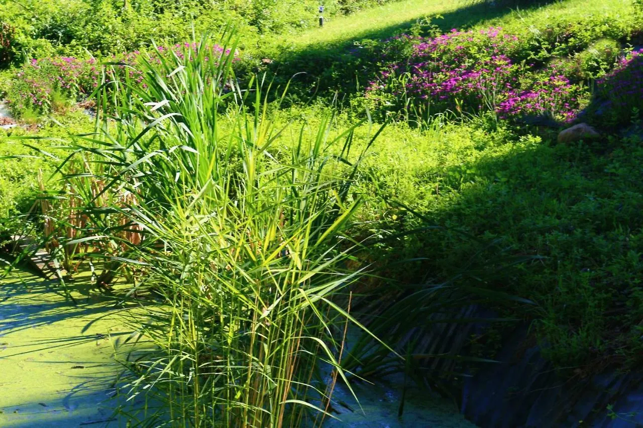 Domaine Les Causeries Bed & Breakfast Laguepie Fransa