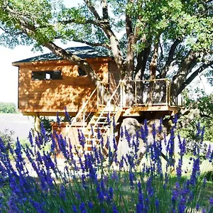 https://mas-de-pantai-bastide-chamaret.hotels-rhonealpes.com